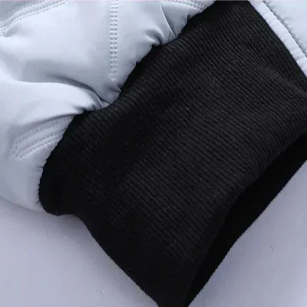 Dave | Stylish Winter Jacket